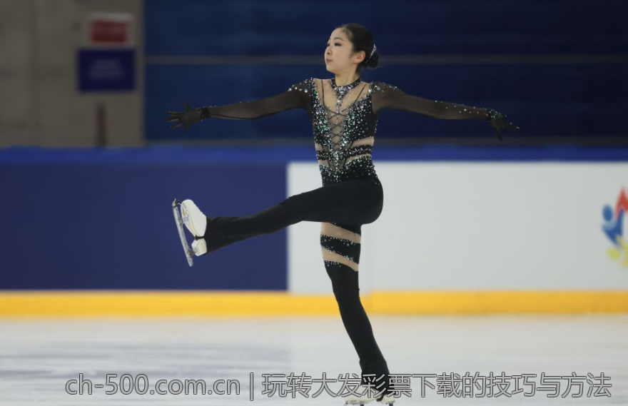 玩转大发彩票下载的技巧与方法